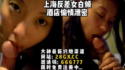 【完整版55分钟已上传下面简阶】